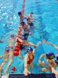 Κολύμβηση: 4th Arena Herakleion Swimming Challenge. Επιτυχή ολοκλήρωση των αγώνων.