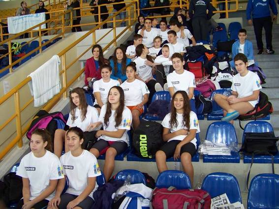 Christmass swimming Cup 2015 - First evaluation