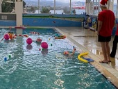 Χριστουγενίατικη γιορτή των δελφινιών