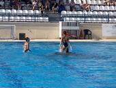 Καλλιτεχνική Κολύμβηση: Η θερινή επίδειξη των κοριτσιών