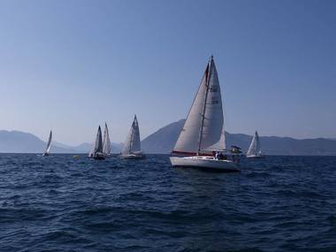 Nop-sailing- Wedneday's Cup 2017_3